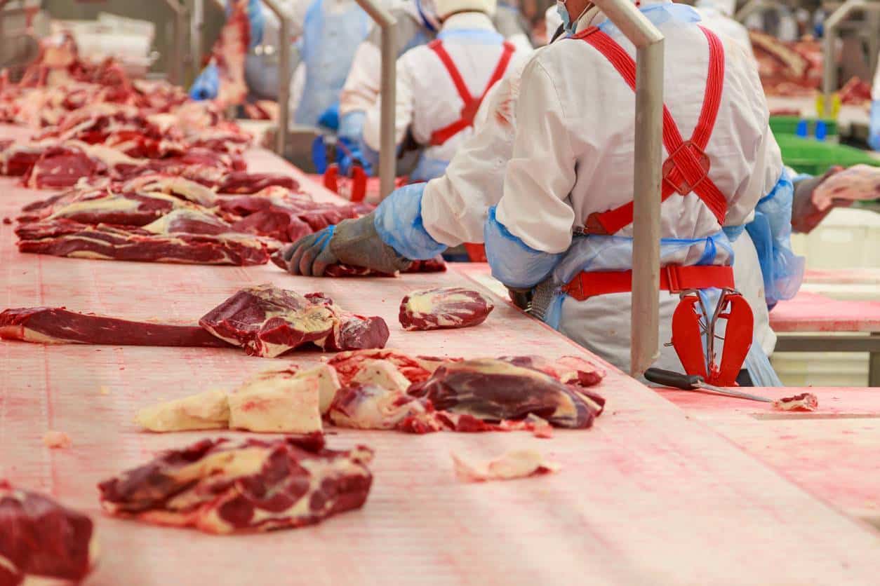 industrie alimentaire processus traitement viande