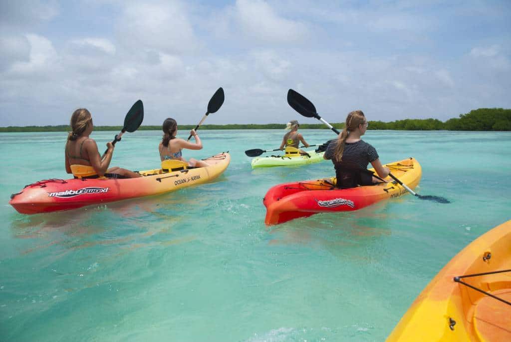 organiser kayak de mer pour un team building 