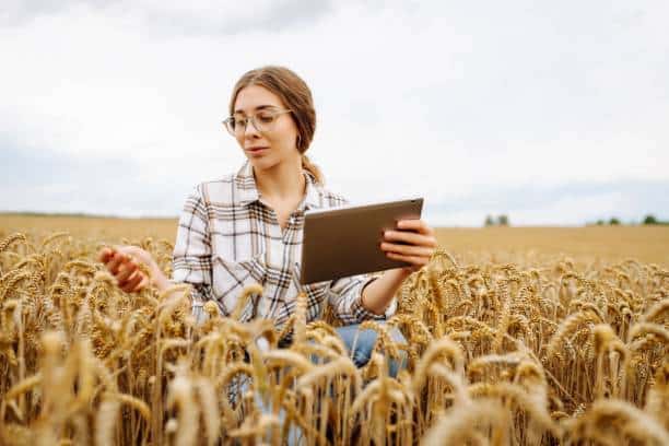 Assurer un rendement agricole cohérent grâce à la technologie
